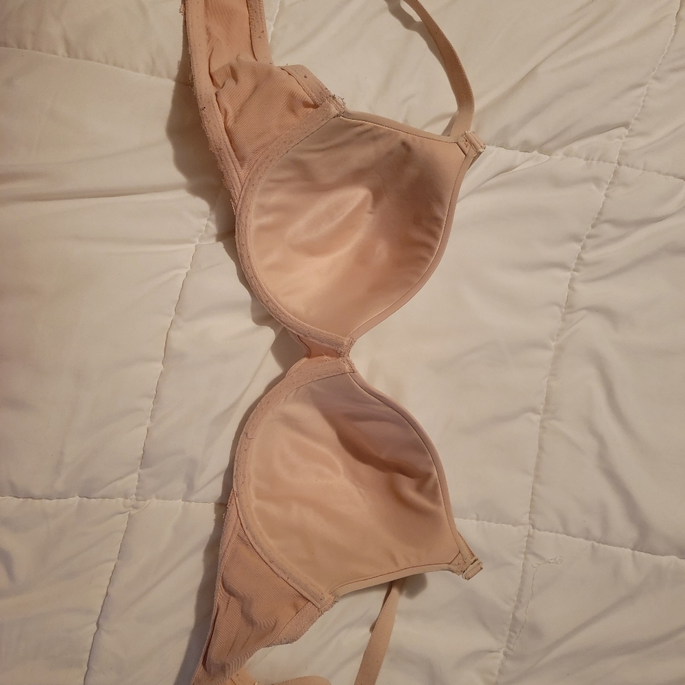 Paramour Bra - image 2